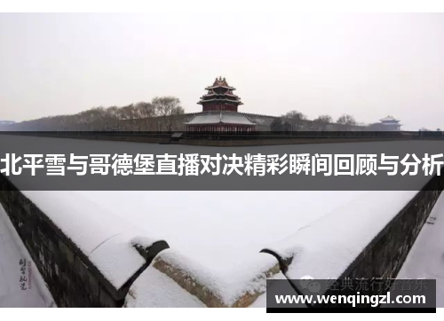 北平雪与哥德堡直播对决精彩瞬间回顾与分析