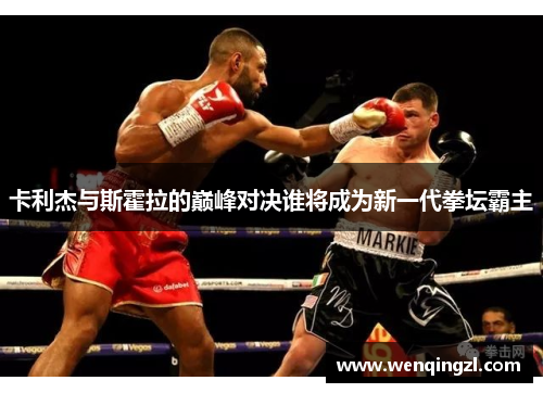 卡利杰与斯霍拉的巅峰对决谁将成为新一代拳坛霸主