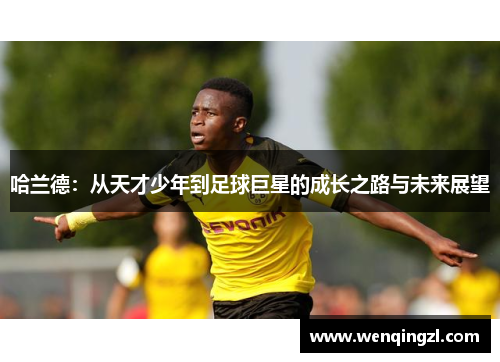 哈兰德：从天才少年到足球巨星的成长之路与未来展望