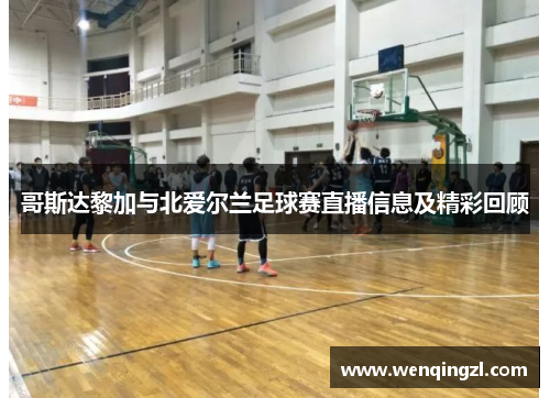 哥斯达黎加与北爱尔兰足球赛直播信息及精彩回顾