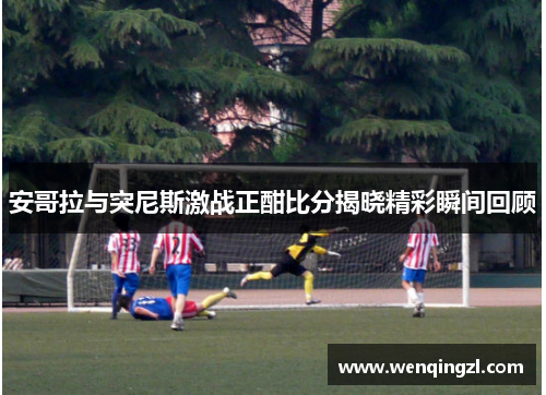 安哥拉与突尼斯激战正酣比分揭晓精彩瞬间回顾