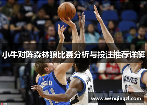 小牛对阵森林狼比赛分析与投注推荐详解