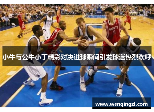 小牛与公牛小丁精彩对决进球瞬间引发球迷热烈欢呼