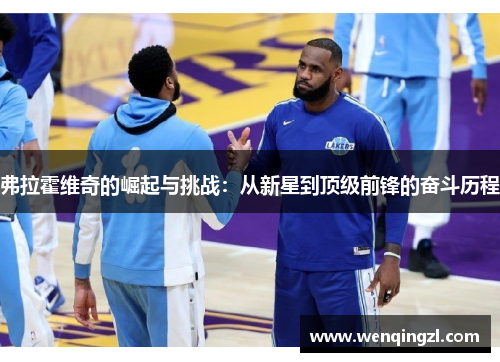 弗拉霍维奇的崛起与挑战：从新星到顶级前锋的奋斗历程